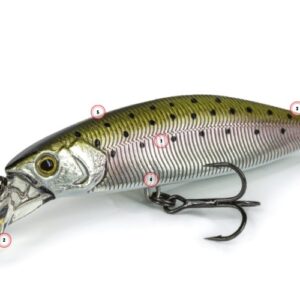 Molix Rolling Minnow 60 FS